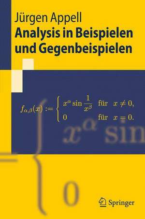 Analysis in Beispielen und Gegenbeispielen: Eine Einführung in die Theorie reeller Funktionen de Jürgen Appell