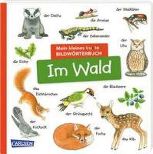 Mein kleines buntes Bildwörterbuch: Im Wald de Christine Henkel