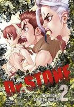 Dr. Stone 2 de Boichi