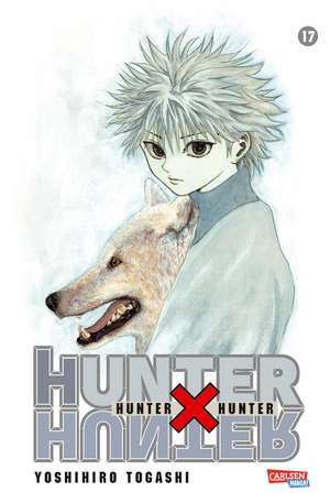 Hunter X Hunter 17 de Yoshihiro Togashi