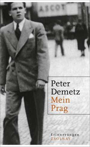 Mein Prag de Peter Demetz