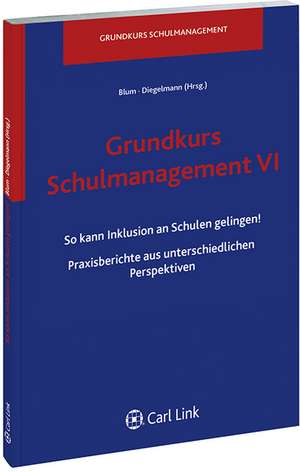 Grundkurs Schulmanagement VI de Volker Blum