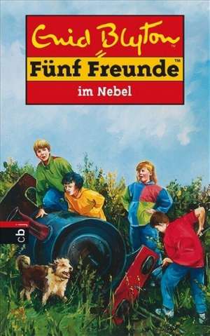 Fünf Freunde 17. Fünf Freunde im Nebel de Enid Blyton