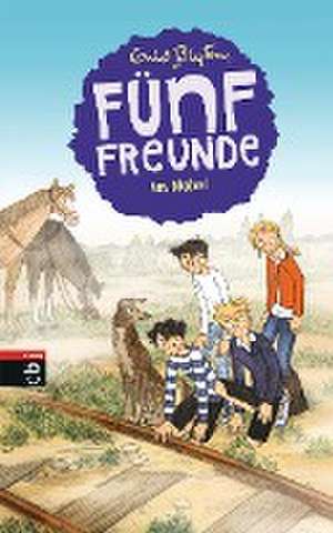 Fünf Freunde im Nebel de Enid Blyton