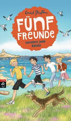 Fünf Freunde meistern jede Gefahr de Enid Blyton