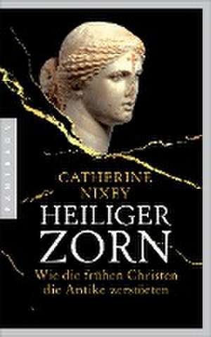 Heiliger Zorn de Catherine Nixey