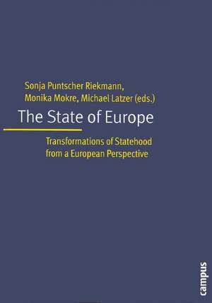 The State of Europe: Transformation of Statehood from a European Perspective de Sonja Puntscher Riekmann