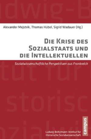 Die Krise des Sozialstaats und die Intellektuellen de Alexander Mejstrik