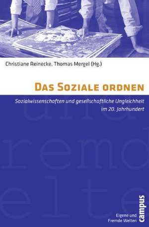 Das Soziale ordnen de Christiane Reinecke