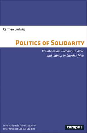 The Politics of Solidarity – Privatisation, Precarious Work and Labour in South Africa de Carmen Ludwig