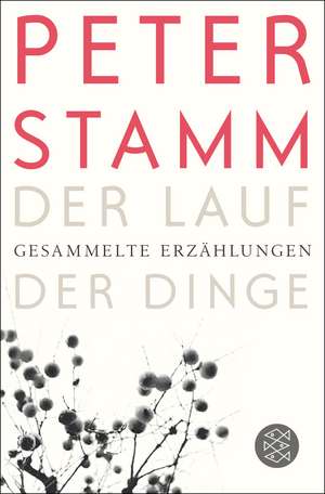 Der Lauf der Dinge de Peter Stamm