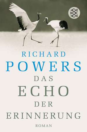 Das Echo der Erinnerung de Richard Powers