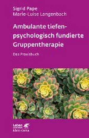 Ambulante tiefenpsychologisch fundierte Gruppentherapie (Leben Lernen, Bd. 335) de Sigrid Pape