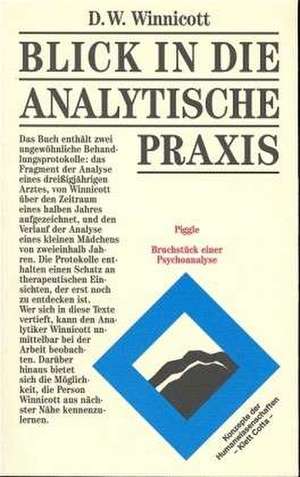 Blick in die analytische Praxis de Donald Woods Winnicott