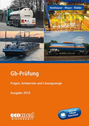 Gb-Prüfung inklusive E-Book de Jörg Holzhäuser