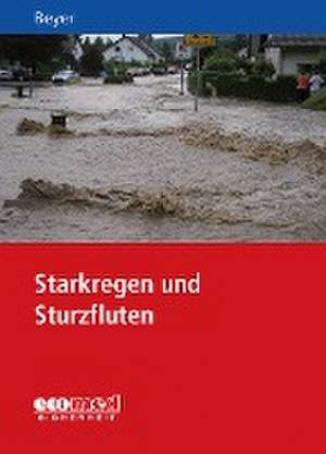 Starkregen und Sturzfluten de Ralf Beyer