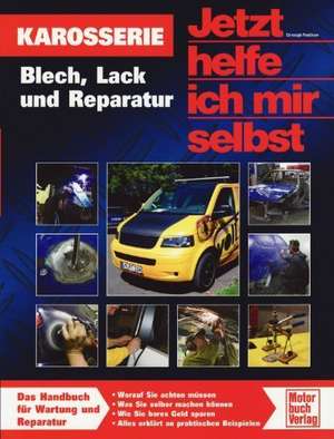 Die Autokarosserie de Burkhard Pandikow