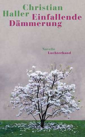 Einfallende Dämmerung de Christian Haller