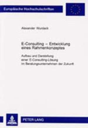 E-Consulting - Entwicklung Eines Rahmenkonzeptes de Wurdack, Alexander