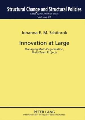 Innovation at Large de Johanna E. M. Schönrok