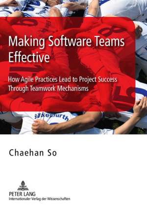 Making Software Teams Effective de Chaehan So