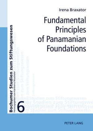 Fundamental Principles of Panamanian Foundations de Irena Braxator