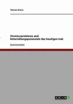 Strukturprobleme und Entwicklungspotenziale des heutigen Irak de Thomas Drews