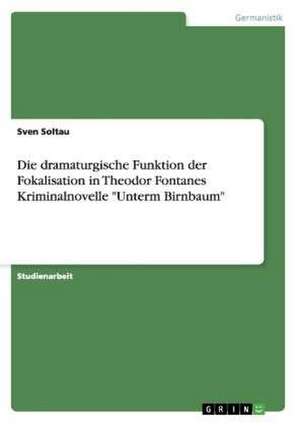 Die dramaturgische Funktion der Fokalisation in Theodor Fontanes Kriminalnovelle "Unterm Birnbaum" de Sven Soltau