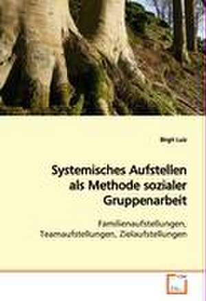 Systemisches Aufstellen als Methode sozialerGruppenarbeit de Birgit Luiz