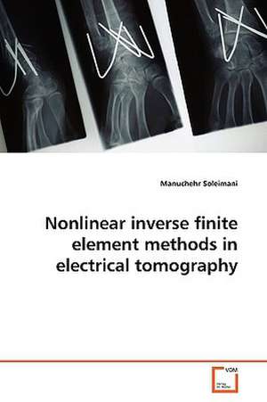 Nonlinear inverse finite element methods in electrical tomography de Manuchehr Soleimani