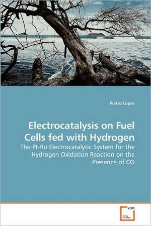 Electrocatalysis on Fuel Cells fed with Hydrogen de Pietro Lopes