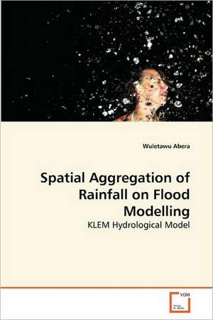 Spatial Aggregation of Rainfall on Flood Modelling de Wuletawu Abera