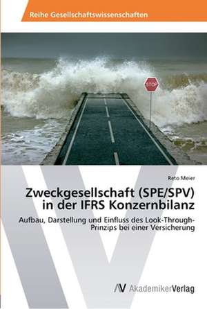 Zweckgesellschaft (SPE/SPV) in der IFRS Konzernbilanz de Meier Reto