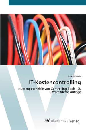 IT-Kostencontrolling de Jens Siebertz