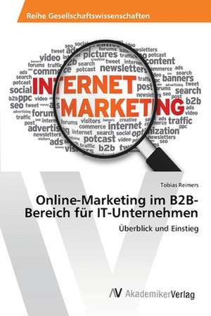 Online-Marketing im B2B-Bereich für IT-Unternehmen de Reimers Tobias