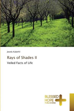 Rays of Shades II de Josely Kalathil