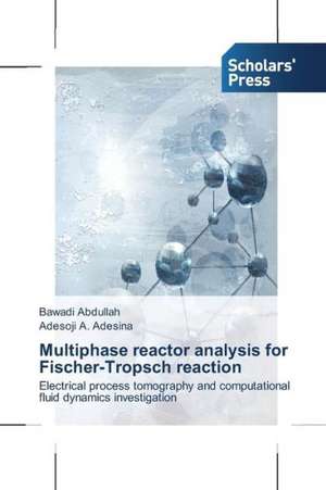 Multiphase Reactor Analysis for Fischer-Tropsch Reaction: The Early Emotional Experiences of First-Time Mothers de Bawadi Abdullah