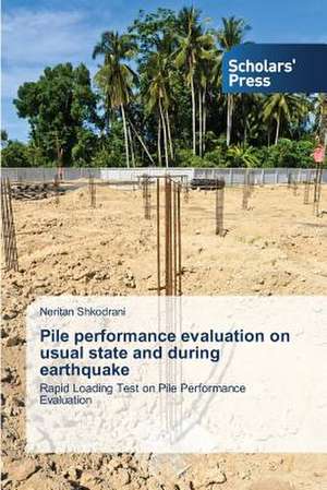 Pile Performance Evaluation on Usual State and During Earthquake: A Performance Guide de Neritan Shkodrani