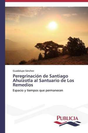 Peregrinacion de Santiago Ahuizotla Al Santuario de Los Remedios: Una Mirada Epidemiologica de Guadalupe Sánchez