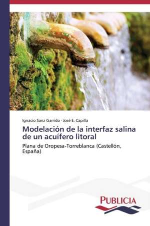 Modelacion de La Interfaz Salina de Un Acuifero Litoral