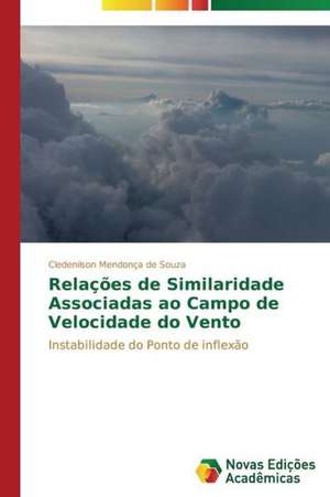 Relacoes de Similaridade Associadas Ao Campo de Velocidade Do Vento: Um Enfoque Sistemico de Cledenilson Mendonça de Souza