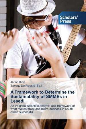 A Framework to Determine the Sustainability of Smmes in Lesedi: Indigenous Perceptions of the Healthcare System de Johan Buys