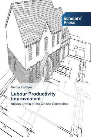 Labour Productivity Improvement de Serdar Durdyev