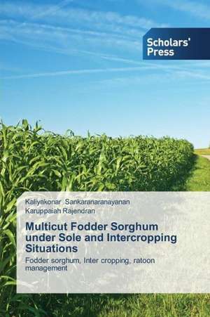 Multicut Fodder Sorghum Under Sole and Intercropping Situations: Kom and Bakweri Proverbs de Kaliyakonar Sankaranaranayanan