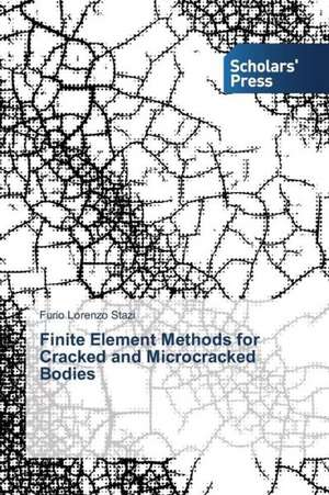 Finite Element Methods for Cracked and Microcracked Bodies de Furio Lorenzo Stazi