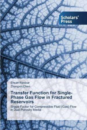 Transfer Function for Single-Phase Gas Flow in Fractured Reservoirs de Ehsan Ranjbar