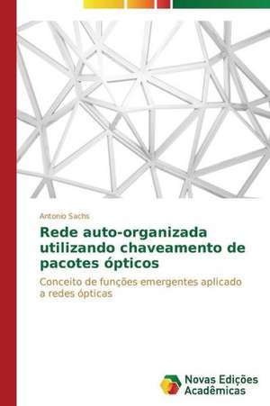 Rede Auto-Organizada Utilizando Chaveamento de Pacotes Opticos: Indutor Da Pratica Curricular de Professores de Matematica de Antonio Sachs