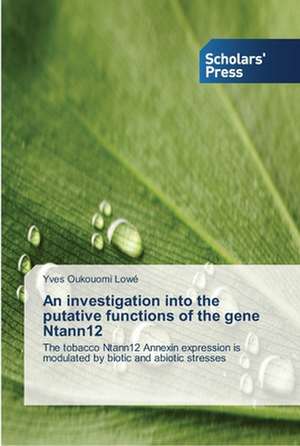 An Investigation Into the Putative Functions of the Gene Ntann12: Identification Practices and Teacher Beliefs de Yves Oukouomi Lowé