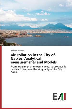 Air Pollution in the City of Naples: Analytical Measurements and Models de Andrea Mazzeo