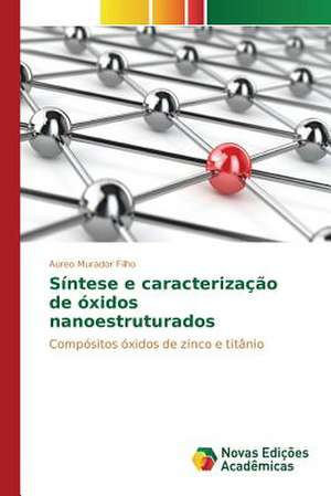 Sintese E Caracterizacao de Oxidos Nanoestruturados: Aplicacao Do Teorema de Coase de Aureo Murador Filho